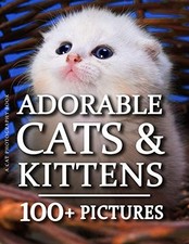 Cat photography book for sale Cat photography book for sale  ROSSENDALE