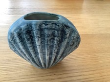 Pottery ornament shell for sale  TIVERTON