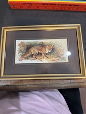 Red fox vintage for sale  Westfield