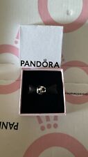 pandora charms essence usato  Italia