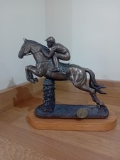 Juliana collection jumping for sale  WORCESTER