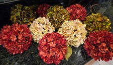 Conjunto de 10 Pier 1 hortênsias falsas em Borgonha, creme e verde sálvia comprar usado  Enviando para Brazil