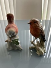 Goebel wren bird for sale  NORTHAMPTON