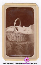 Cat photographed basket d'occasion  Expédié en Belgium