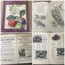 Pictorial Practical Fruit Growing 1909 Hardback Illustrated by Wright VG comprar usado  Enviando para Brazil