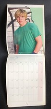 +calendar Jesse McCartney The Beautiful Soul Tour CD comprar usado  Enviando para Brazil