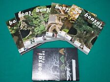 Bonsai focus rivista usato  Siderno