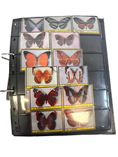 Huge butterfly stamp for sale  WELWYN GARDEN CITY