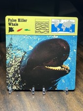 False killer whale for sale  Dexter