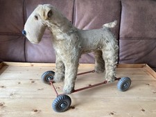 1950 fox terrier for sale  KETTERING