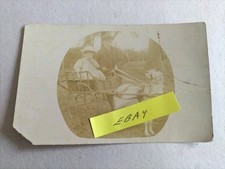 Rppc goat cart for sale  BARNSLEY