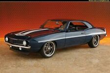 Classic 1969 camaro for sale  Dyer