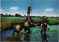 CPM Chiba prefecture Rice planting JAPAN (1185219), usado comprar usado  Enviando para Brazil