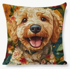 Golden doodle teddy for sale  Roanoke