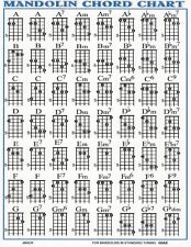Mandolin chord chart for sale  Saint Paul