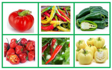 Organic seed pack for sale  LONDON