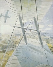 Raf hurricane tiger for sale  BARNSLEY