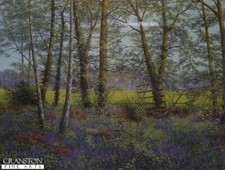 English country forrest for sale  HELENSBURGH