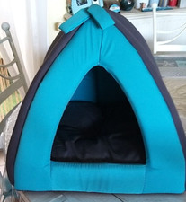 Tipi petit chien d'occasion  Cagnes-sur-Mer