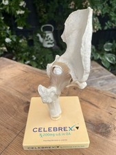 Vintage anatomical medical for sale  BIRMINGHAM