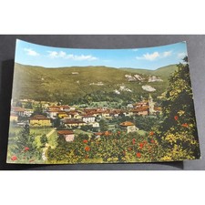 Cartolina besano panorama usato  Alessandria