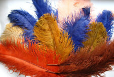 Ancien lot plumes d'occasion  Aignan