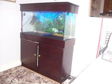 Fish tank accessories for sale  SELBY
