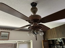 Antique hunter ceiling for sale  North Bend