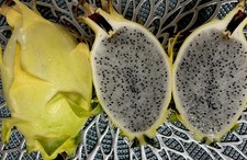 Dragon fruit israel for sale  Visalia
