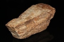 Bois fossilisé authentique d'occasion  Grenoble-