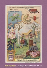 Chromo liebig fruits d'occasion  Chaumont
