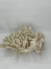 Natural dry coral for sale  Mount Vernon