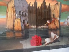 Opera grafica originale usato  Roma