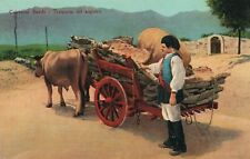 Cartolina italia riproduzione usato  Benevento