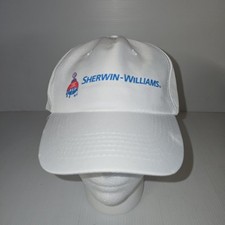 Sherman williams painter for sale  Damascus