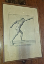 Stampa anatomia antica usato  Misterbianco