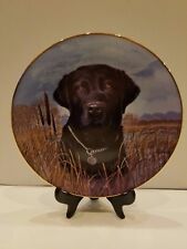 Alert labrador retrievers for sale  Lehi