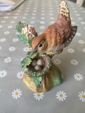 Crown staffordshire wren for sale  PORTSTEWART