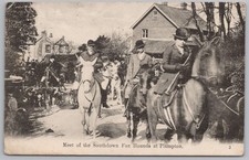 Plumpton sussex meet for sale  GLASGOW