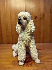 Leonardo poodle dog for sale Leonardo poodle dog for sale  WIGTON