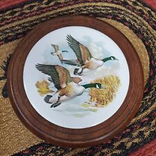 Vintage wood ducks for sale  Hampton