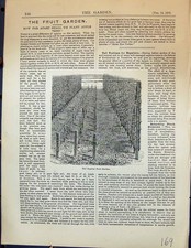 Old antique print d'occasion  Expédié en Belgium