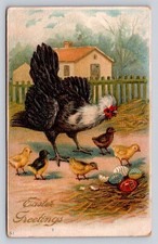 C1910 hen chicken for sale  Mansfield