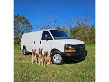 2015 chevrolet express for sale  Houston