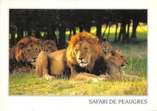 Peaugres safari parc d'occasion  France