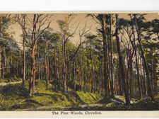Postcard somerset clevedon for sale  MARGATE