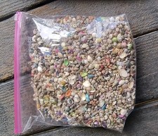 Seashell lot pounds for sale  Longs
