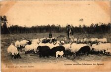 Old postcard echassier d'occasion  Expédié en Belgium