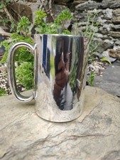 Early victorian pint for sale  YELVERTON