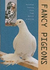 Fancy pigeons aad for sale  Aurora